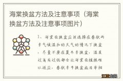 海棠换盆方法及注意事项图片 海棠换盆方法及注意事项