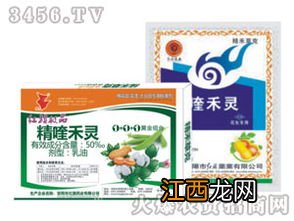 花生田苗后除草剂