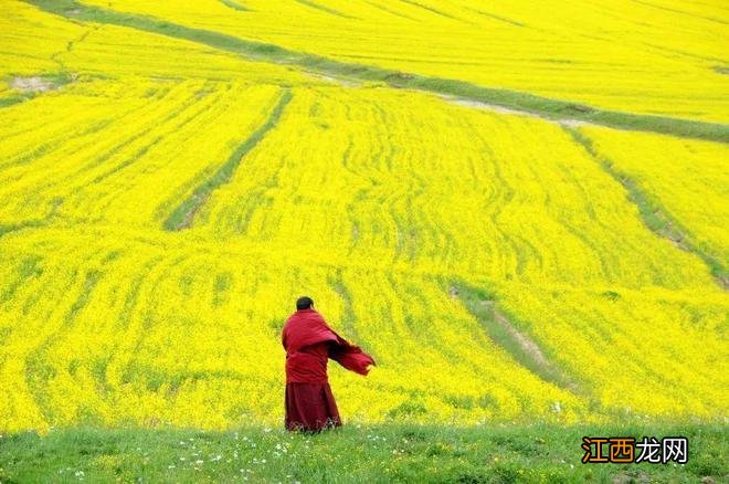 遇见甘南草原、黄河湿地、安多藏族风情