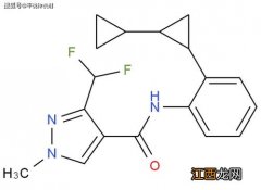 种衣剂主要成分