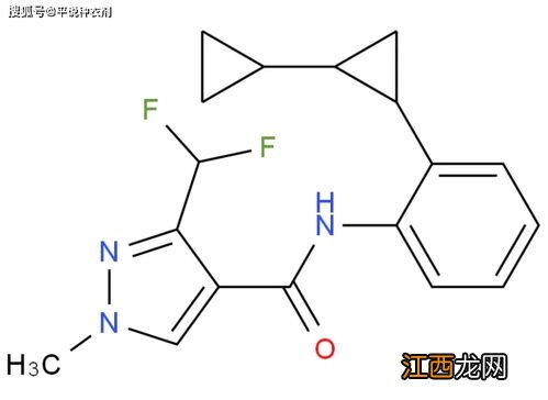 种衣剂主要成分