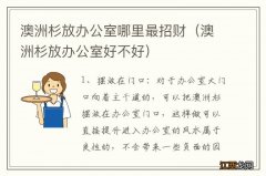 澳洲杉放办公室好不好 澳洲杉放办公室哪里最招财