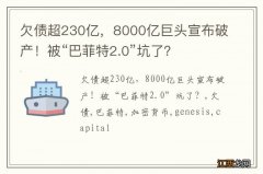 欠债超230亿，8000亿巨头宣布破产！被“巴菲特2.0”坑了？