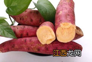 烤红薯用烟薯还是蜜薯好吃-烟薯和蜜薯哪个适合烤着吃