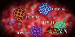 疱疹和hpv有关系吗-hpv和疱疹病毒哪个严重