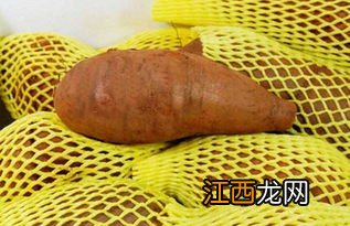 雪莲果的功效与作用及营养价值-雪莲果的禁忌和食用方法