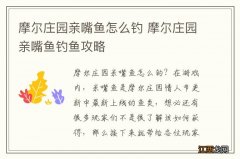 摩尔庄园亲嘴鱼怎么钓 摩尔庄园亲嘴鱼钓鱼攻略