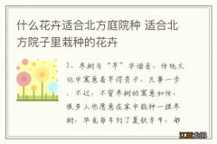 什么花卉适合北方庭院种 适合北方院子里栽种的花卉