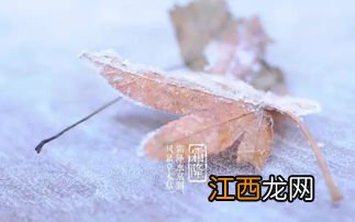 今年霜降能修坟吗-霜降立碑好不好