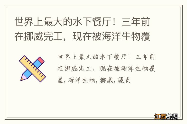 世界上最大的水下餐厅！三年前在挪威完工，现在被海洋生物覆盖