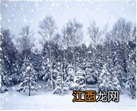 2023年哈尔滨1月份会下雪吗-2023年哈尔滨1月份天气怎么样