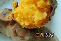 空气炸锅烤红薯用什么红薯好-空气炸锅烤哪种红薯好吃