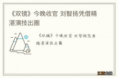 《双镜》今晚收官 刘智扬凭借精湛演技出圈