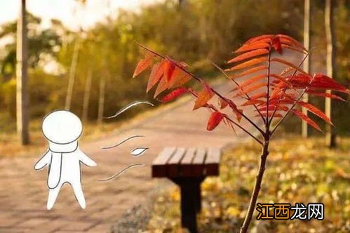 2022霜降后可以穿棉袄吗-霜降后天气有哪些变化