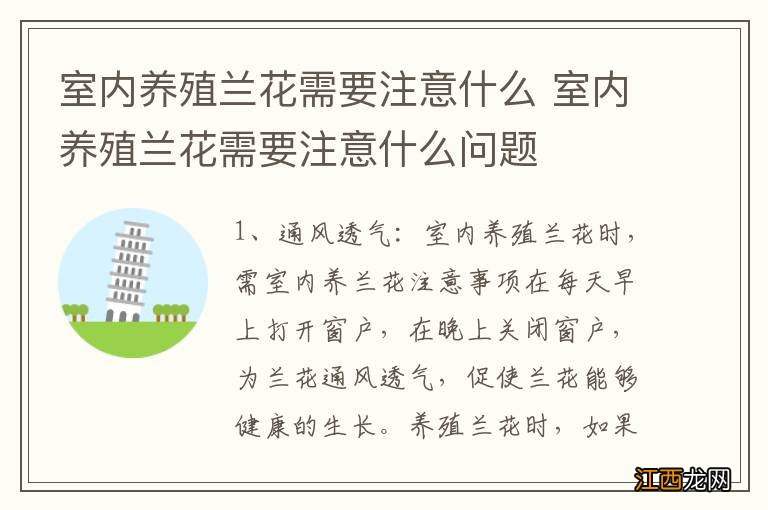 室内养殖兰花需要注意什么 室内养殖兰花需要注意什么问题