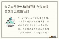 办公室放什么植物旺财 办公室适合放什么植物旺财