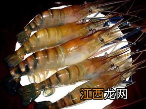 虾系男友是什么意思-虾系男友是谁想出来的