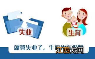 小幸孕保险是哪个公司的产品？