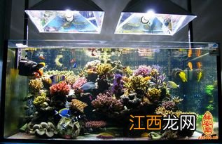 百福缸真的能招财吗-百福缸摆在什么位置风水好