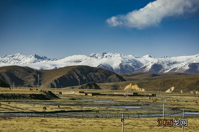 难忘的川西之行，塔公草原无限风光