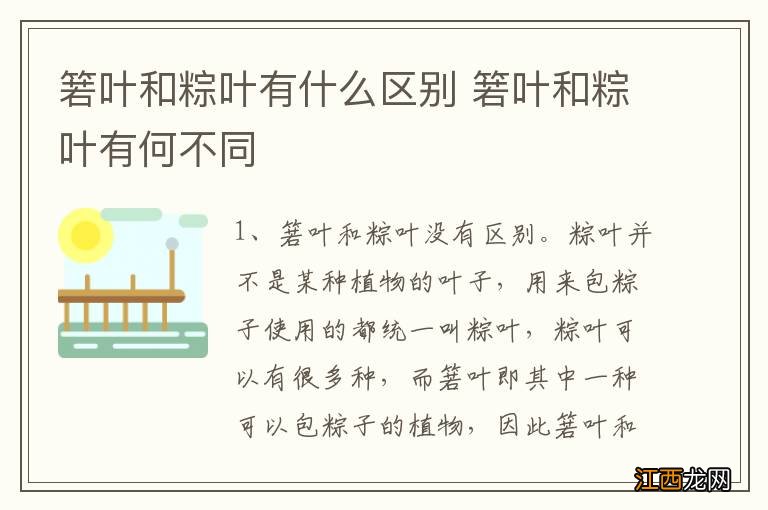 箬叶和粽叶有什么区别 箬叶和粽叶有何不同