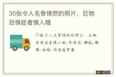 35张令人毛骨悚然的照片，巨物恐惧症者慎入哦