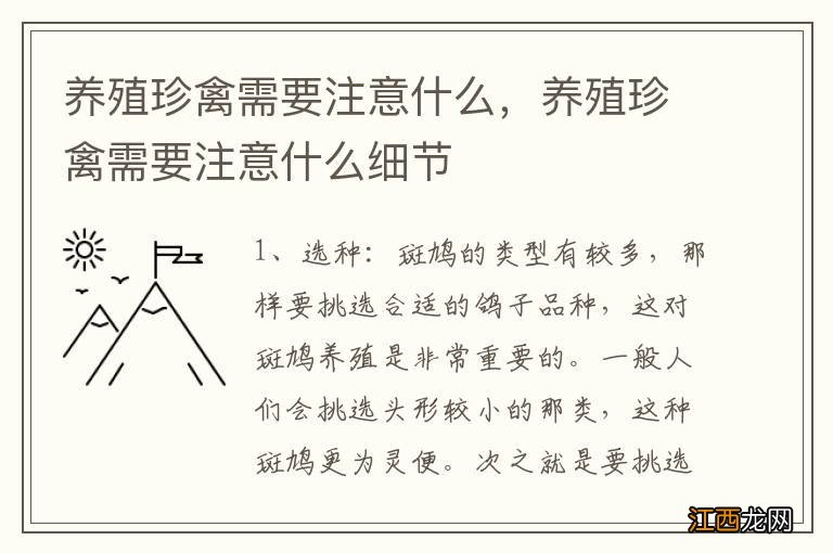 养殖珍禽需要注意什么,养殖珍禽需要注意什么细节