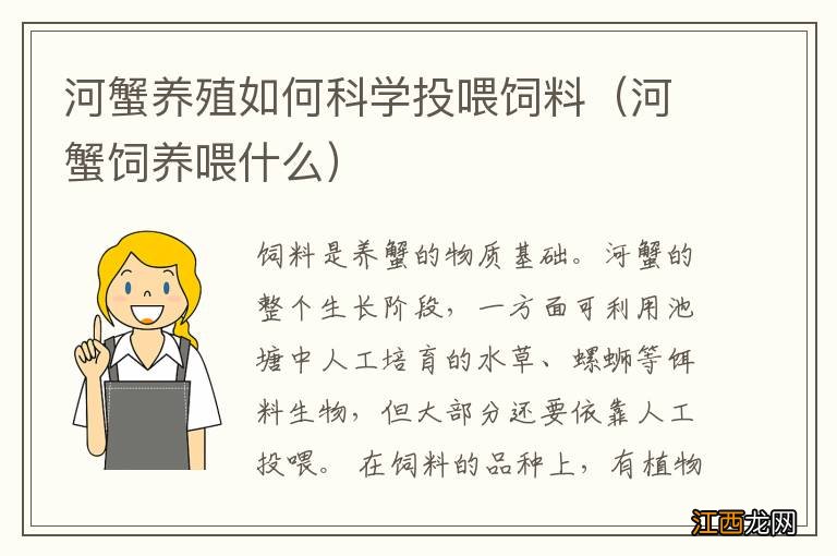 河蟹饲养喂什么 河蟹养殖如何科学投喂饲料