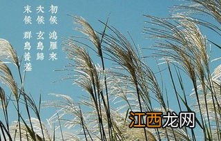 2022白露当天出生好还是白露后出生好-2022年白露前后生的虎宝宝好吗