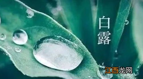 2022白露当天出生好还是白露后出生好-2022年白露前后生的虎宝宝好吗