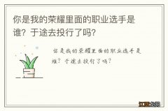 你是我的荣耀里面的职业选手是谁？于途去投行了吗？