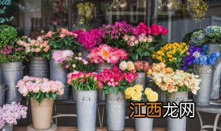 仿真花摆在哪里招财 仿真花摆在哪里招财好