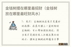 金钱树放在哪里最旺财风水 金钱树摆在哪里最招财