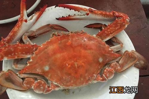 梭子蟹闻起来有轻微臭味还能吃吗-梭子蟹有一点臭味可以吃吗