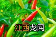 百香果柠檬茶的功效 柠檬和百香果茶能天天喝吗