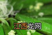 西红柿外面红里面绿怎么回事 西红柿外面红里面绿能吃吗