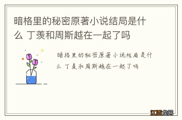 暗格里的秘密原著小说结局是什么 丁羡和周斯越在一起了吗