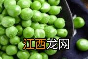 鱼头豆腐汤买什么鱼头 鱼头豆腐汤怎么熬才白