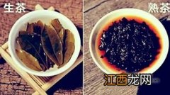 鸭屎香属于生茶还是熟茶-鸭屎香适合什么人喝