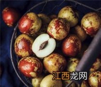 冬枣几月份最好吃-冬枣最佳食用时间是几月份