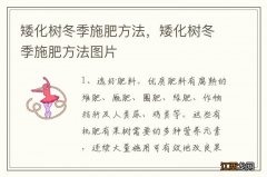 矮化树冬季施肥方法，矮化树冬季施肥方法图片