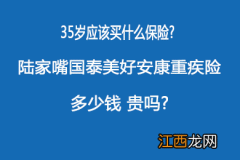 美好安康重疾险是哪个公司的产品？