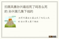 扫黑风暴孙兴最后死了吗怎么死的 孙兴第几集下线的