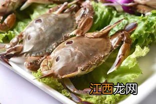 梭子蟹的最佳食用时间是什么时候-梭子蟹什么季节吃最好