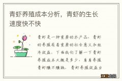 青虾养殖成本分析，青虾的生长速度快不快