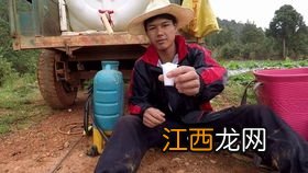 2022长沙橘子洲中秋节会放烟花吗-2022长沙橘子洲烟花燃放时间是什么