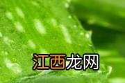 用过期护肤品脸红肿怎么办 使用过期化妆品过敏能根治吗