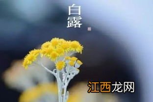 2022年白露北方大概多少度-白露北方天气怎么样