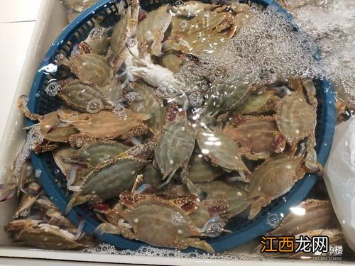 梭子蟹一天吃五个会不会太多-梭子蟹一天吃五个可以吗