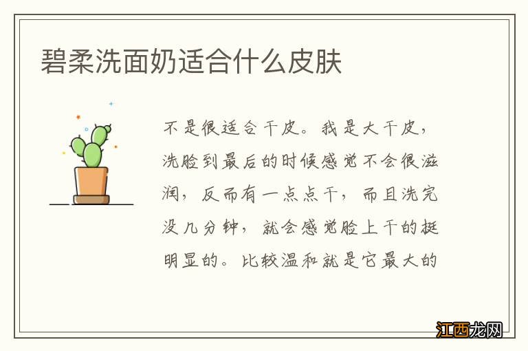 碧柔洗面奶适合什么皮肤